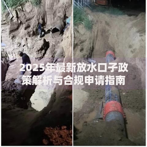 2025年最新放水口子政策解析与合规申请指南