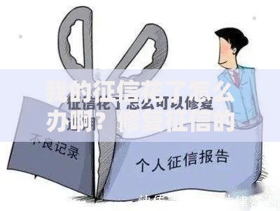 我的征信花了怎么办啊？修复征信的五大实用方法