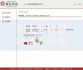 网上怎样查征信？手把手教你轻松获取信用报告