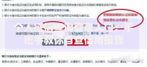 个人征信查询登录入口：手把手教你自查信用报告
