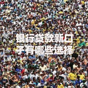 银行贷款新口子有哪些选择？低门槛申请条件解析
