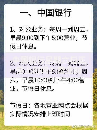中国银行星期六日正常上班吗？营业时间和服务范围全解析