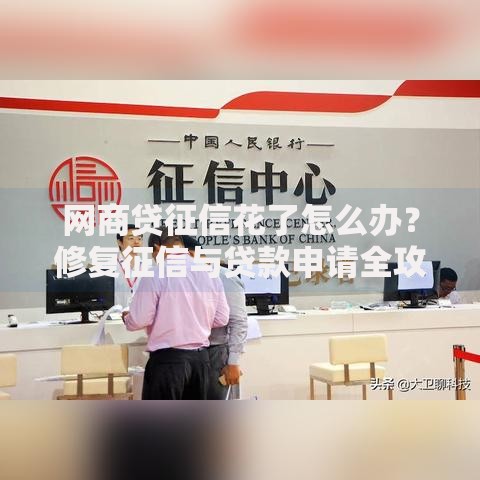 网商贷征信花了怎么办？修复征信与贷款申请全攻略