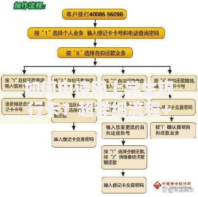 如何申请网上学生银行卡？超详细流程+避坑指南解析