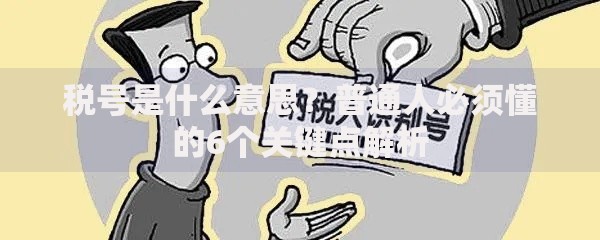征信黑了能退税吗怎么退？深度解析退税资格与操作流程