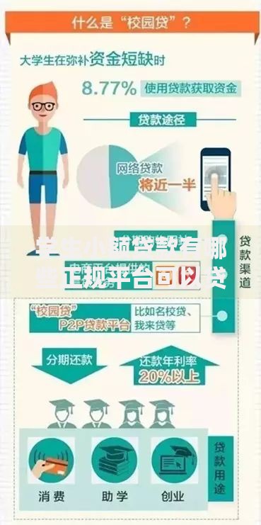 学生小额贷款有哪些正规平台可以贷？如何选择安全渠道