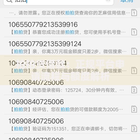 拍拍贷借款：正规平台申请流程与额度解析