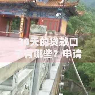 30天的贷款口子有哪些？申请条件及注意事项解析
