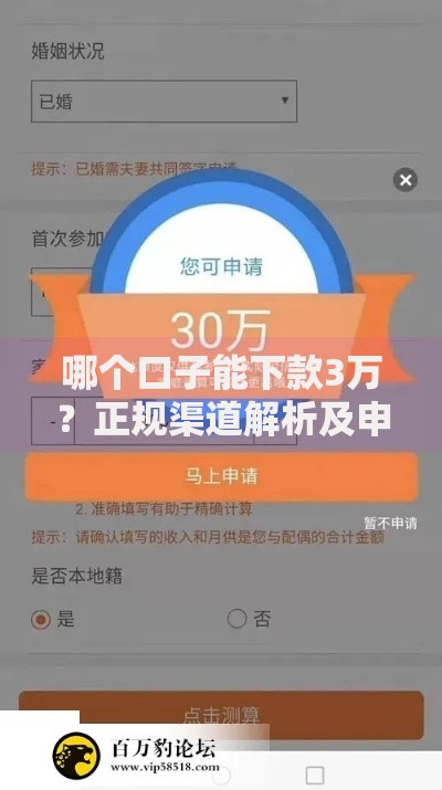 哪个口子能下款3万？正规渠道解析及申请避坑指南