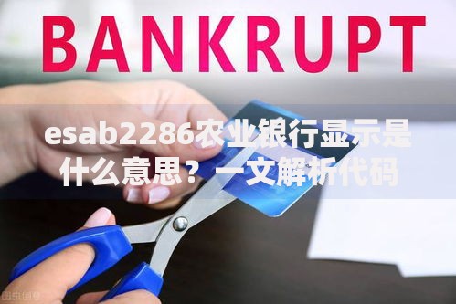 esab2286农业银行显示是什么意思？一文解析代码含义与解决方法