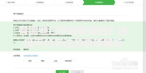 有哪些口子能秒放的？选择平台与注意事项解析
