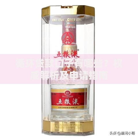 循环贷款口子有哪些？权威解析及申请指南