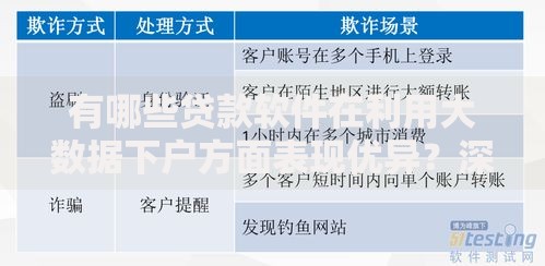 有哪些贷款软件在利用大数据下户方面表现优异？深度解析