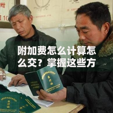附加费怎么计算怎么交？掌握这些方法轻松搞定缴费流程