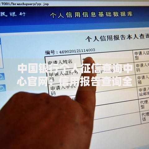 中国银行个人征信查询中心官网：信用报告查询全流程解析