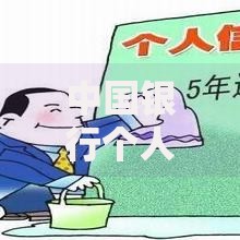 中国银行个人征信查询中心官网：信用报告查询全流程解析