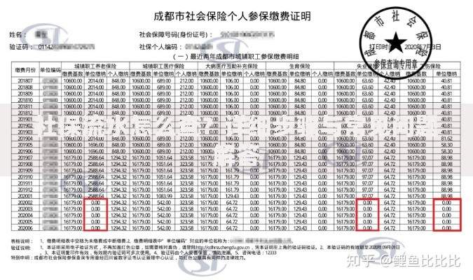 社保流水怎么查？详细步骤与常见问题解答