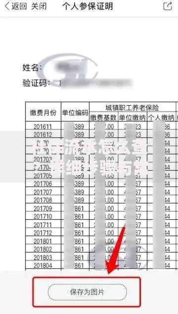 社保流水怎么查？详细步骤与常见问题解答