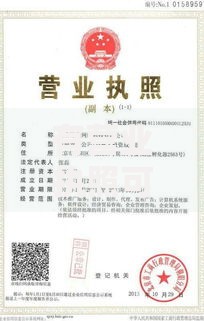 有营业执照可以做哪些贷款征信不好有负债？征信差负债高融资方案解析