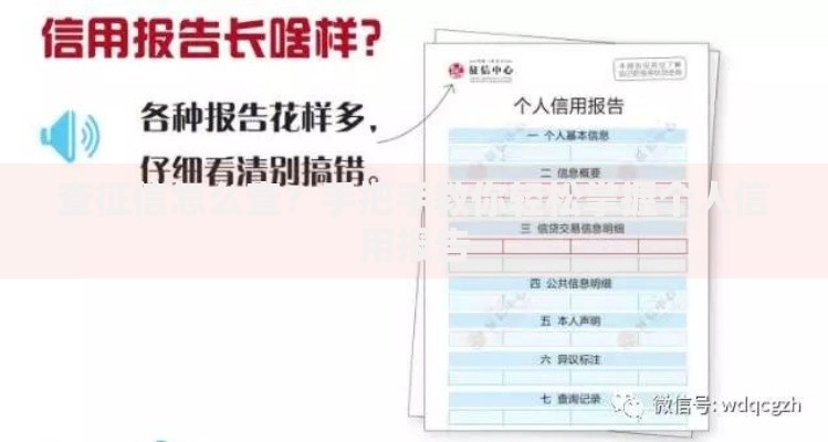 查征信怎么查？手把手教你轻松掌握个人信用报告