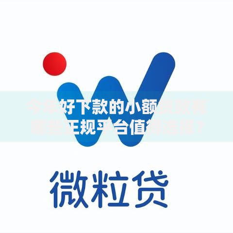 今年好下款的小额贷款有哪些正规平台值得选择？
