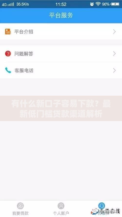 有什么新口子容易下款？最新低门槛贷款渠道解析