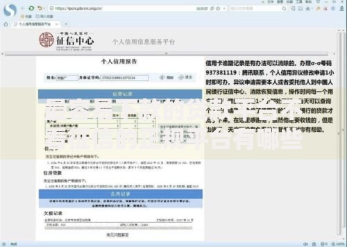 最容易下款的贷款平台不看征信的正规平台有哪些？深度解析申请技巧