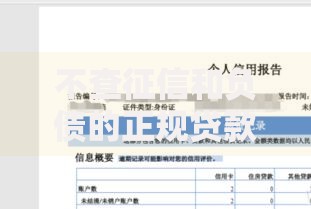 不查征信和负债的正规贷款2025有哪些可靠选择？
