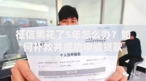 征信黑花了5年怎么办？如何补救并成功申请贷款