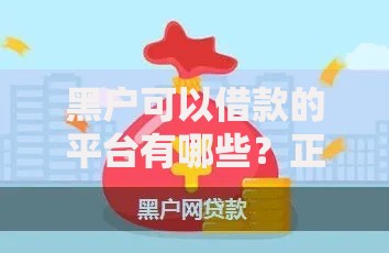 黑户可以借款的平台有哪些？正规渠道深度解析