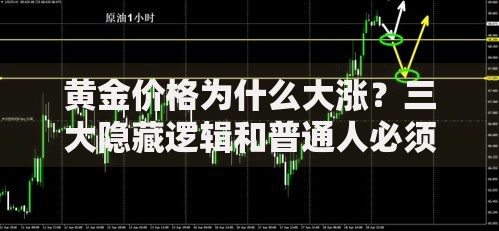 黄金价格为什么大涨？三大隐藏逻辑和普通人必须知道的风险提示