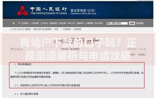 有灿户下款的口子吗？正规渠道解析与申请攻略