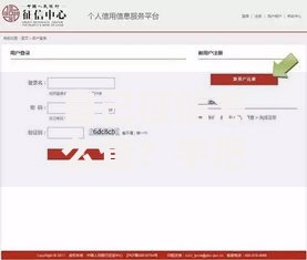自己征信怎么查？手把手教你轻松搞定信用报告