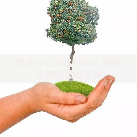 年底分红怎么计算？手把手教你算清收益