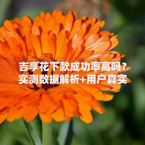 吉享花下款成功率高吗？实测数据解析+用户真实反馈