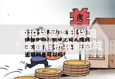 拍拍贷是高利贷吗？全面解析其利息与合规性