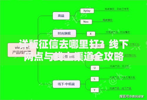 详版征信去哪里打？线下网点与线上渠道全攻略