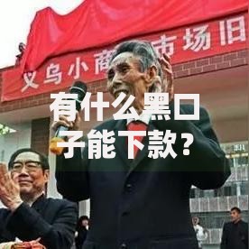 有什么黑口子能下款？警惕风险背后的真相与替代方案