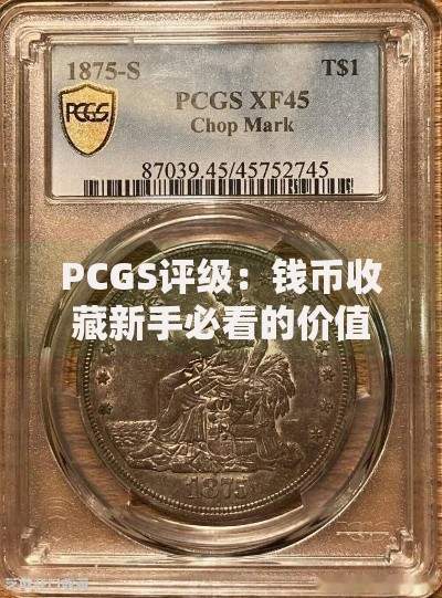 PCGS评级：钱币收藏新手必看的价值鉴定指南