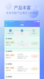 综合评分不足可以在哪个平台借钱？这几个渠道可尝试