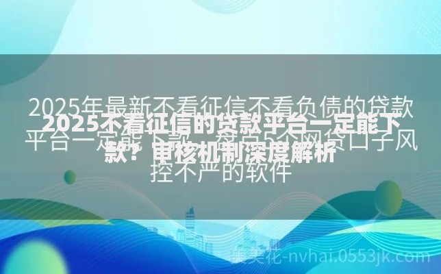 2025不看征信的贷款平台一定能下款？审核机制深度解析