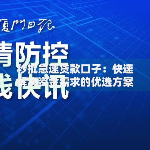 秒批急速贷款口子：快速解决资金需求的优选方案