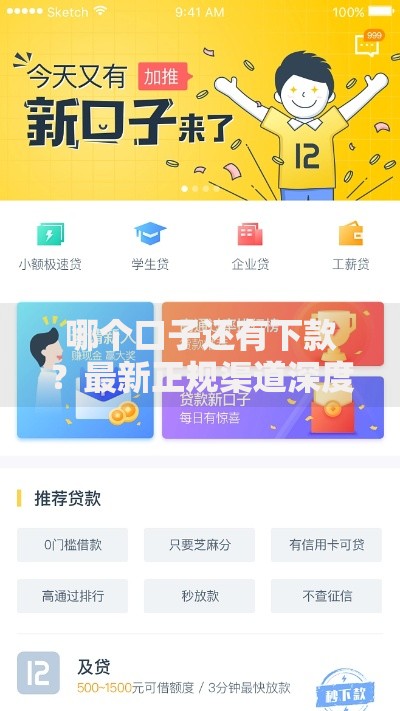 哪个口子还有下款？最新正规渠道深度解析