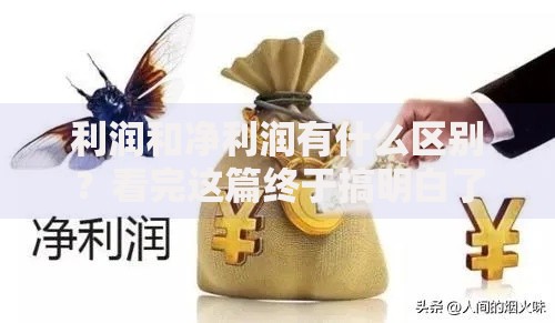利润和净利润有什么区别？看完这篇终于搞明白了