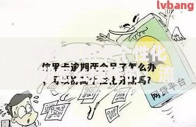 呆账信用卡个性化分期怎么操作的：流程解析与注意事项