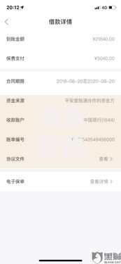 免审核的贷款申请后多久放款？放款时效全解析