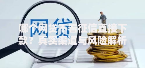 哪个网贷不看征信直接下款？真实渠道与风险解析