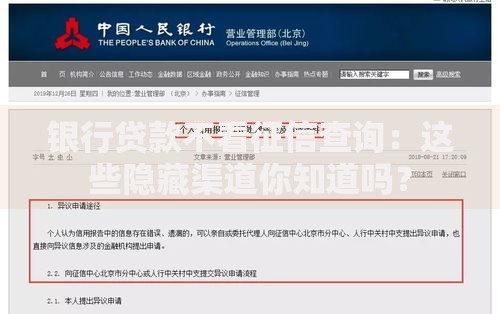 银行贷款不看征信查询：这些隐藏渠道你知道吗？