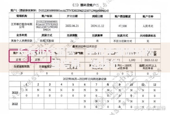 长春征信报告：手把手教你轻松查信用、避踩坑