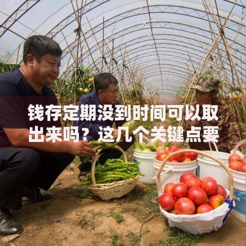 钱存定期没到时间可以取出来吗？这几个关键点要记牢